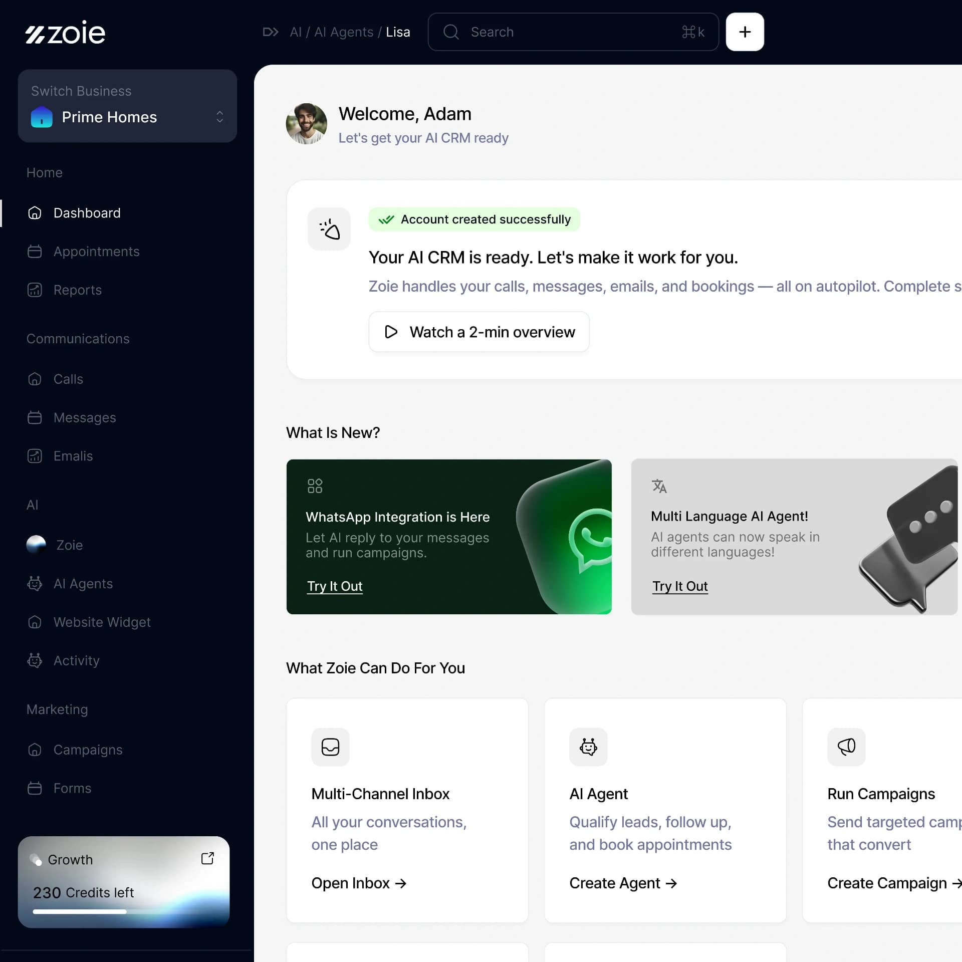Zoie AI dashboard preview